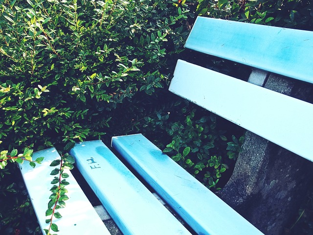 的两个赛季 的两个赛季