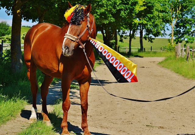 无论新老球 无论新老球