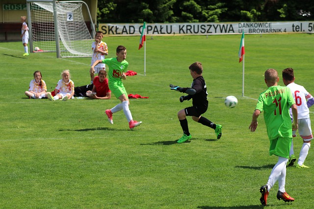 球迷们不仅 球迷们不仅